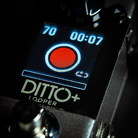 Guitarra y Bajo DITTO+ LOOPER TC Electronic